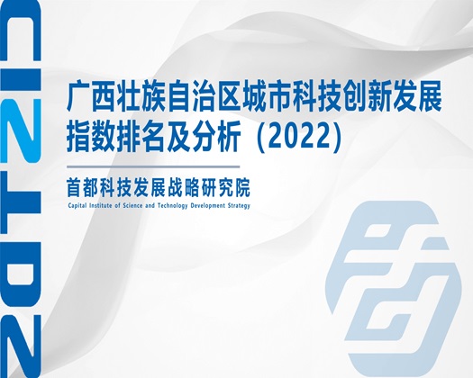 操逼网站毛多水多网站【成果发布】广西壮族自治区城市科技创新发展指数排名及分析（2022）